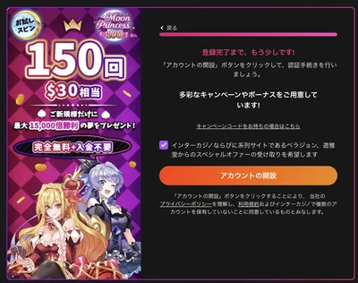 インターカジノの登録方法2